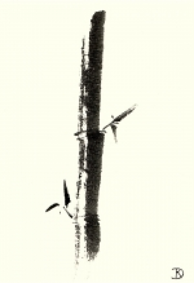 Tuschezeichnung / Karlfried Graf Dürckheim (1896-1988) Initiatische Therapie